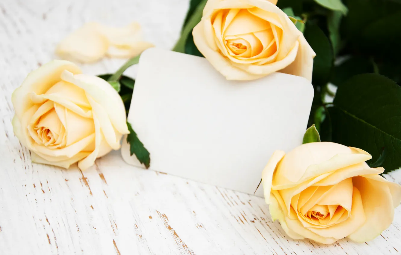 Photo wallpaper yellow, roses, bouquet, buds, Olena Rudo