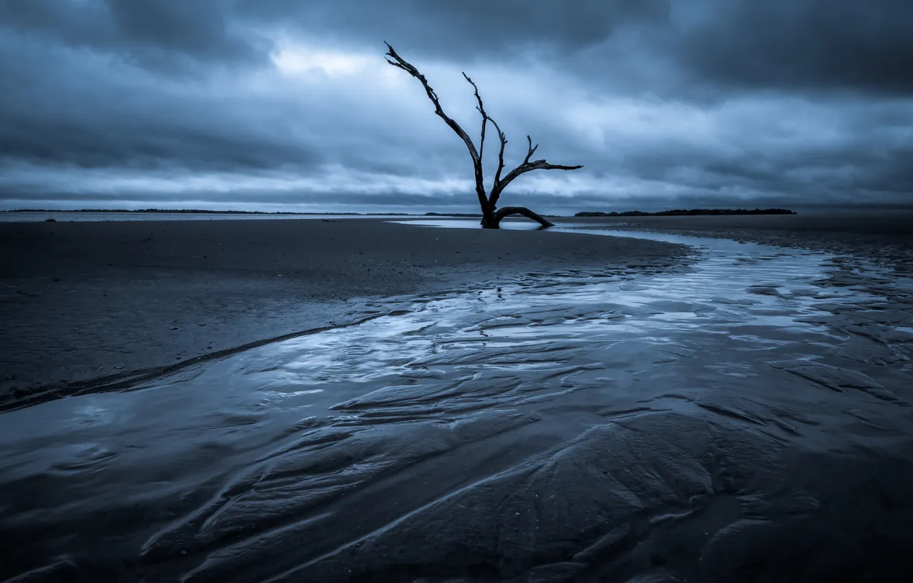 Photo wallpaper trees, night, river