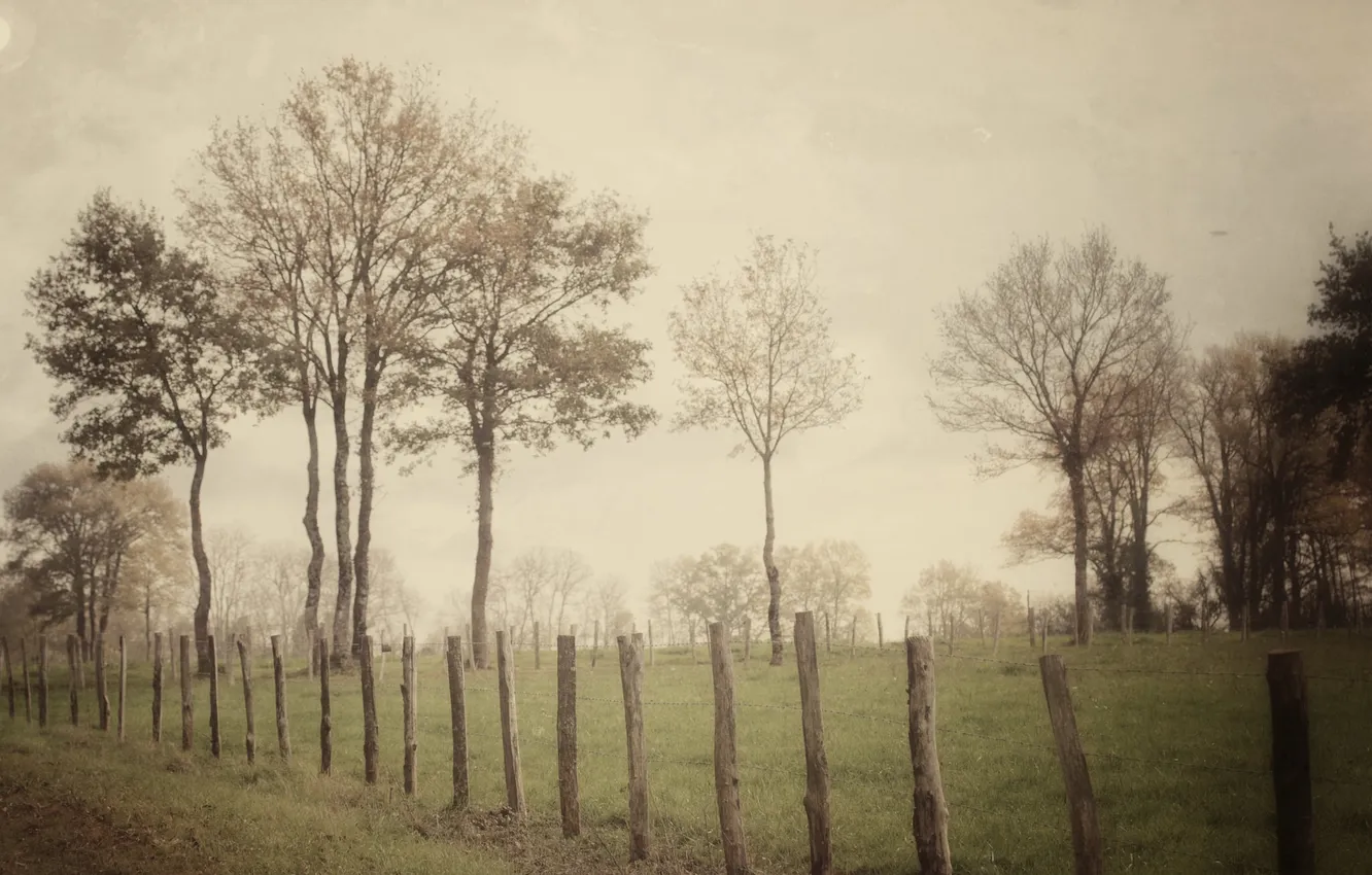 Photo wallpaper field, fog, the fence