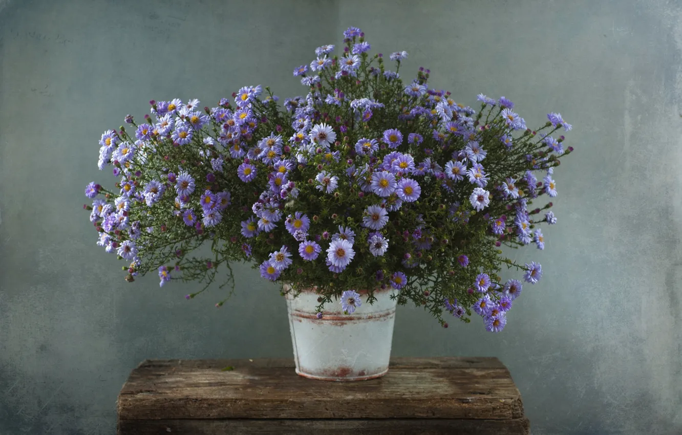 Photo wallpaper autumn, bouquet, lilac, asters