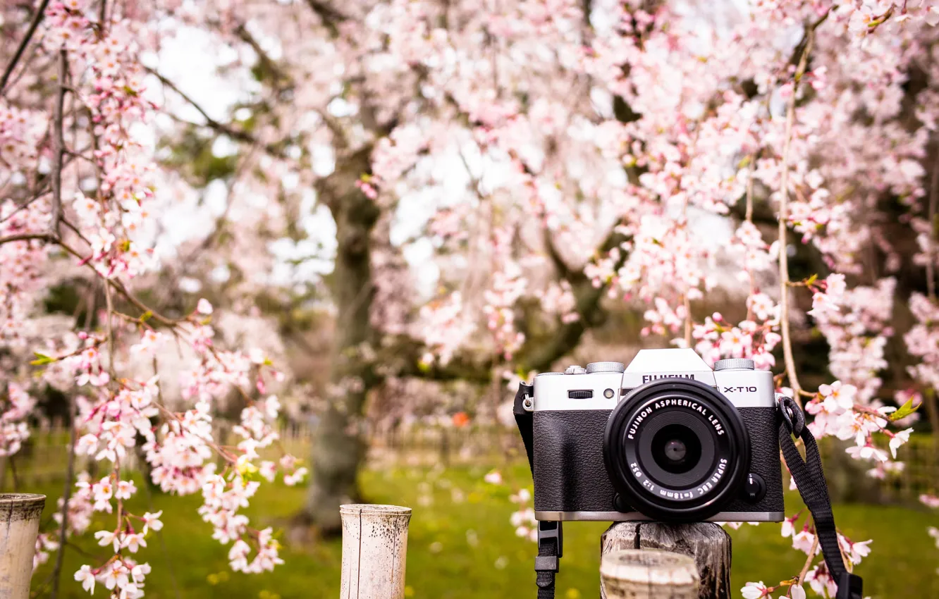 Photo wallpaper background, camera, garden