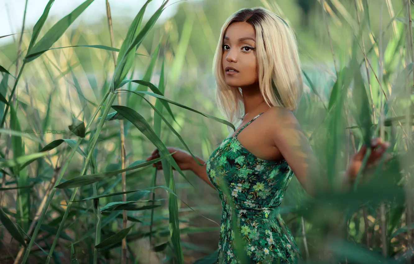 Photo wallpaper model, plant, portrait, makeup, dress, hairstyle, blonde, nature