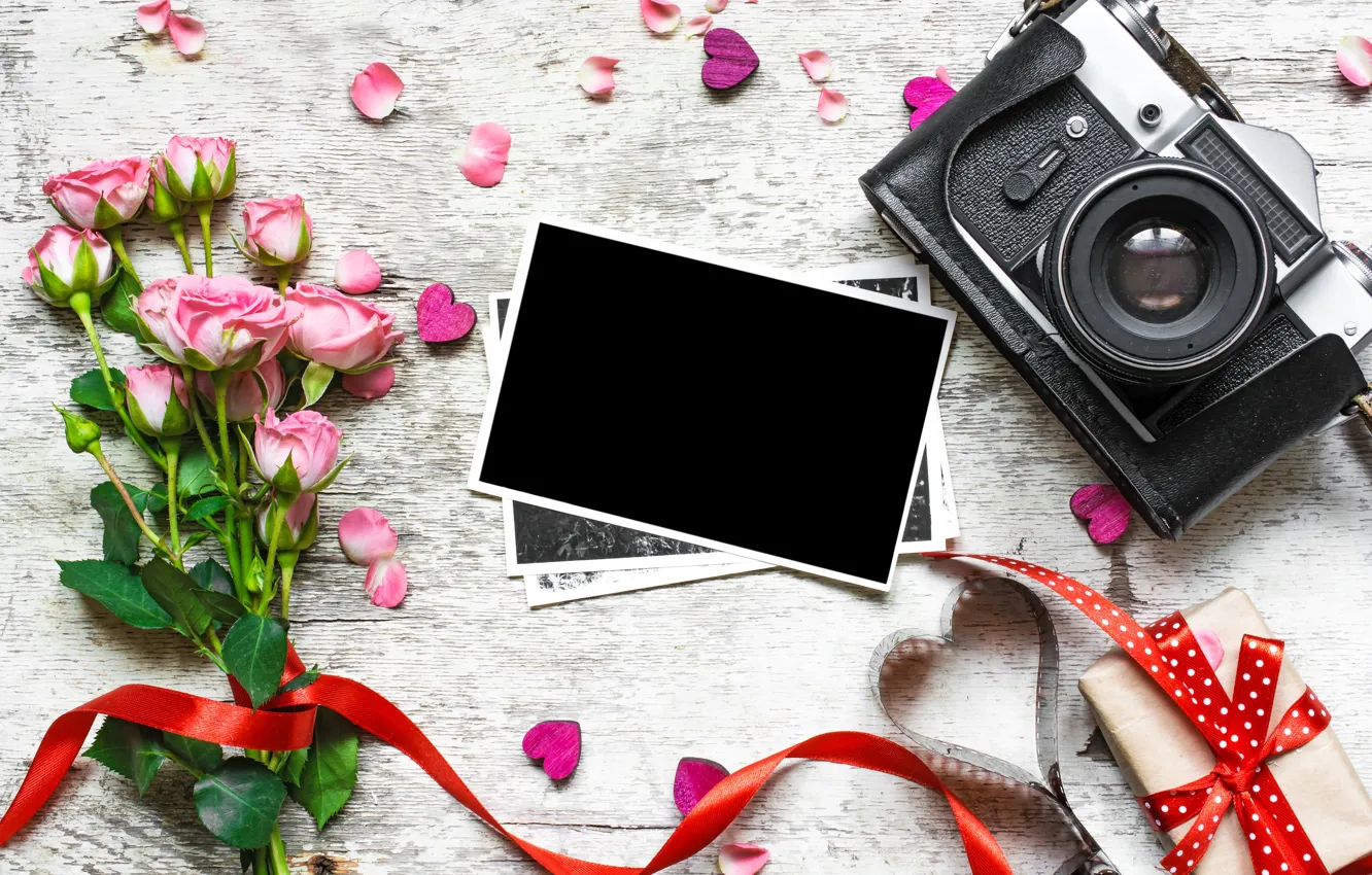 Photo wallpaper flowers, photo, gift, roses, bouquet, camera, frame, hearts