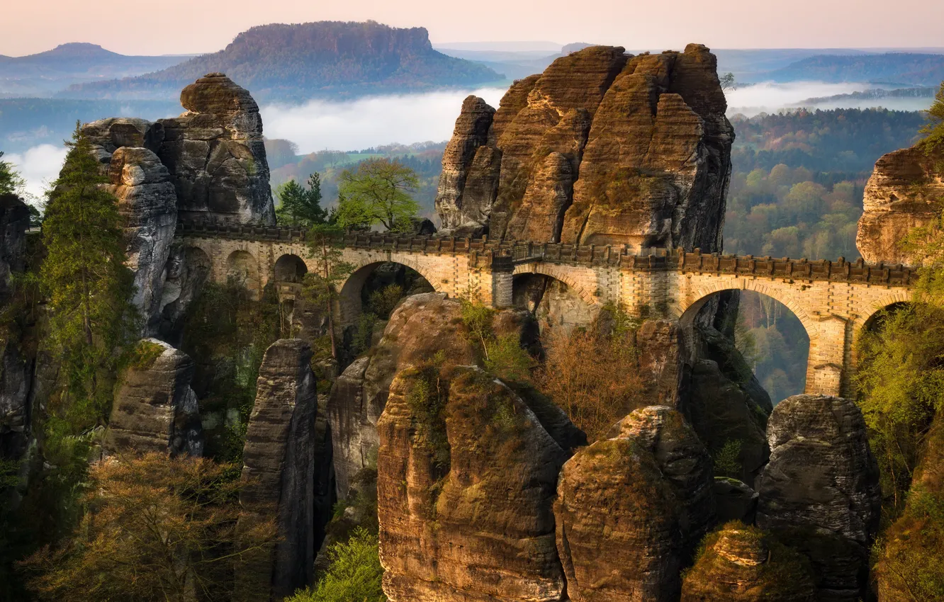 Photo wallpaper forest, mountains, bridge, stones, rocks, height, Germany, arch