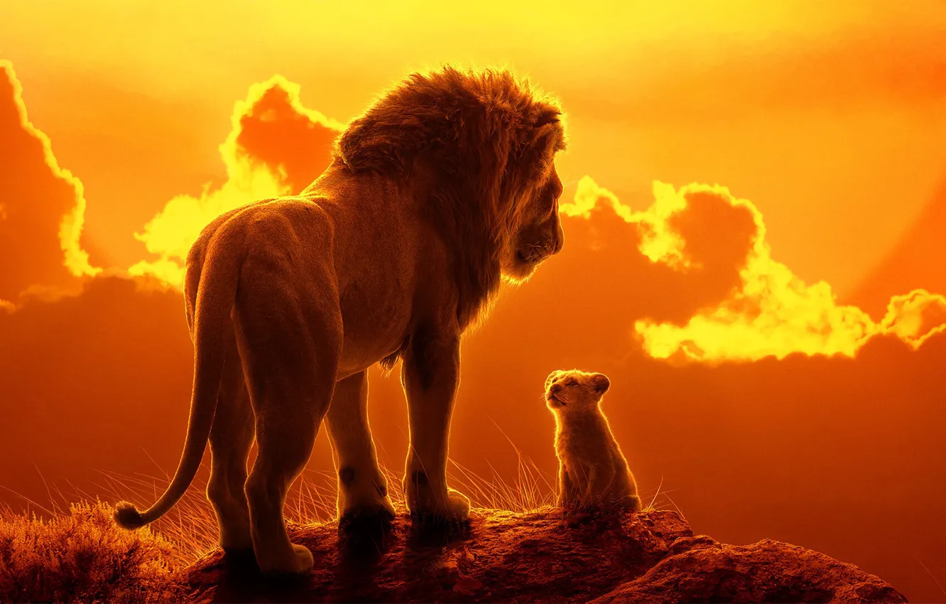 Photo wallpaper sunset, style, animal, cartoon, predator, Leo, the evening, father