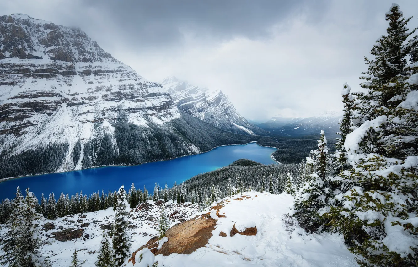 Photo wallpaper winter, forest, snow, mountains, Canada, lake Peyto