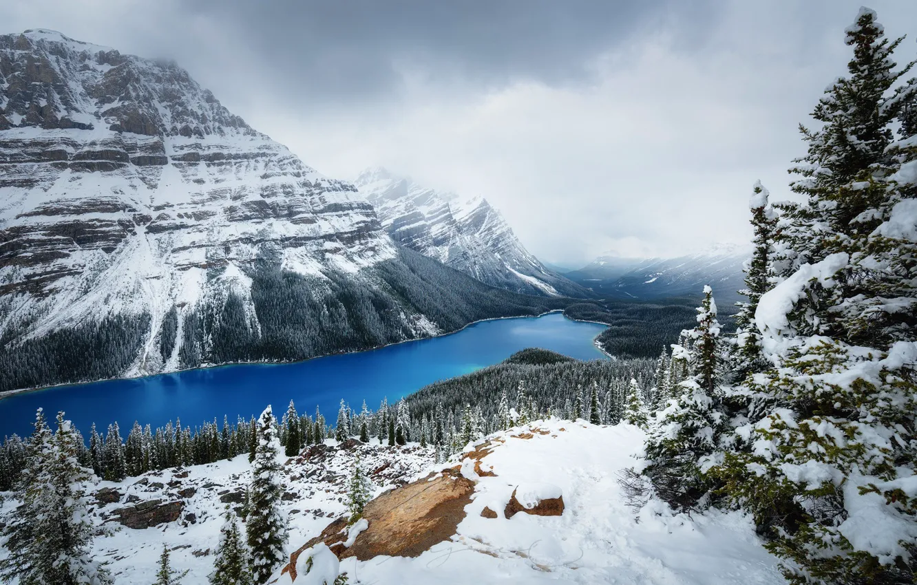 Photo wallpaper winter, forest, snow, Mountains, Canada, lake Peyto