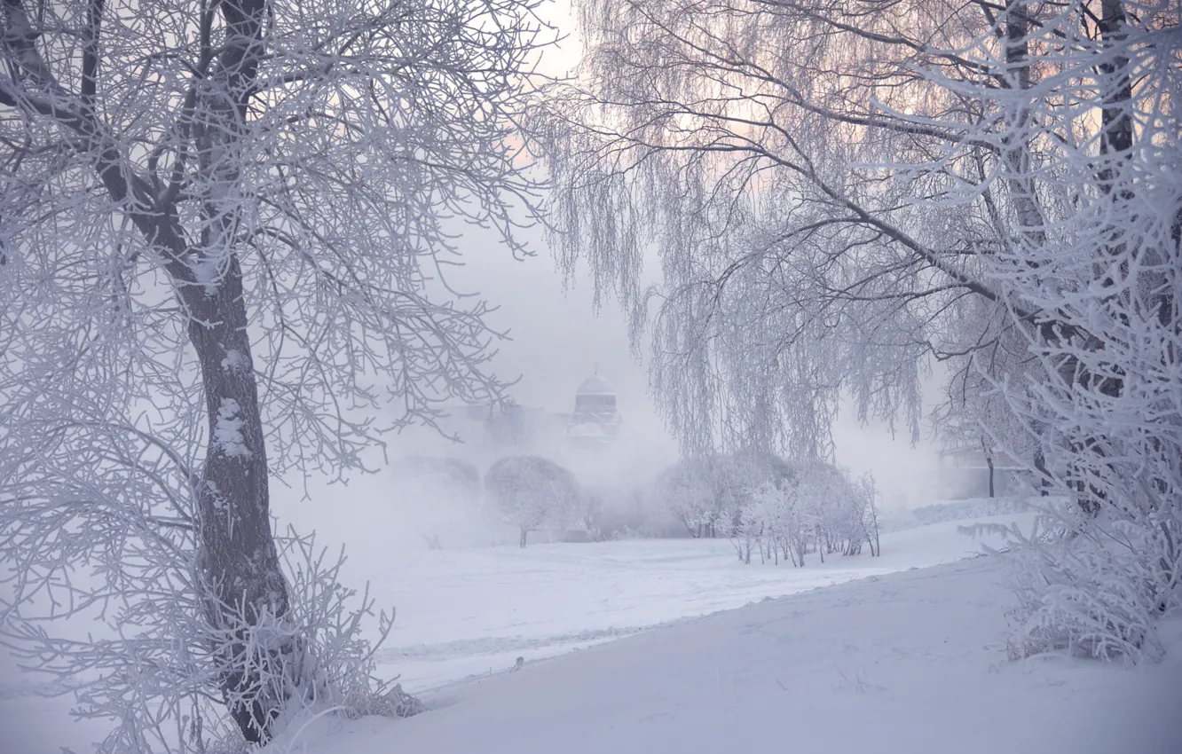 Photo wallpaper winter, frost, trees, fog, photographer, Saint Petersburg, Ed Gordeev