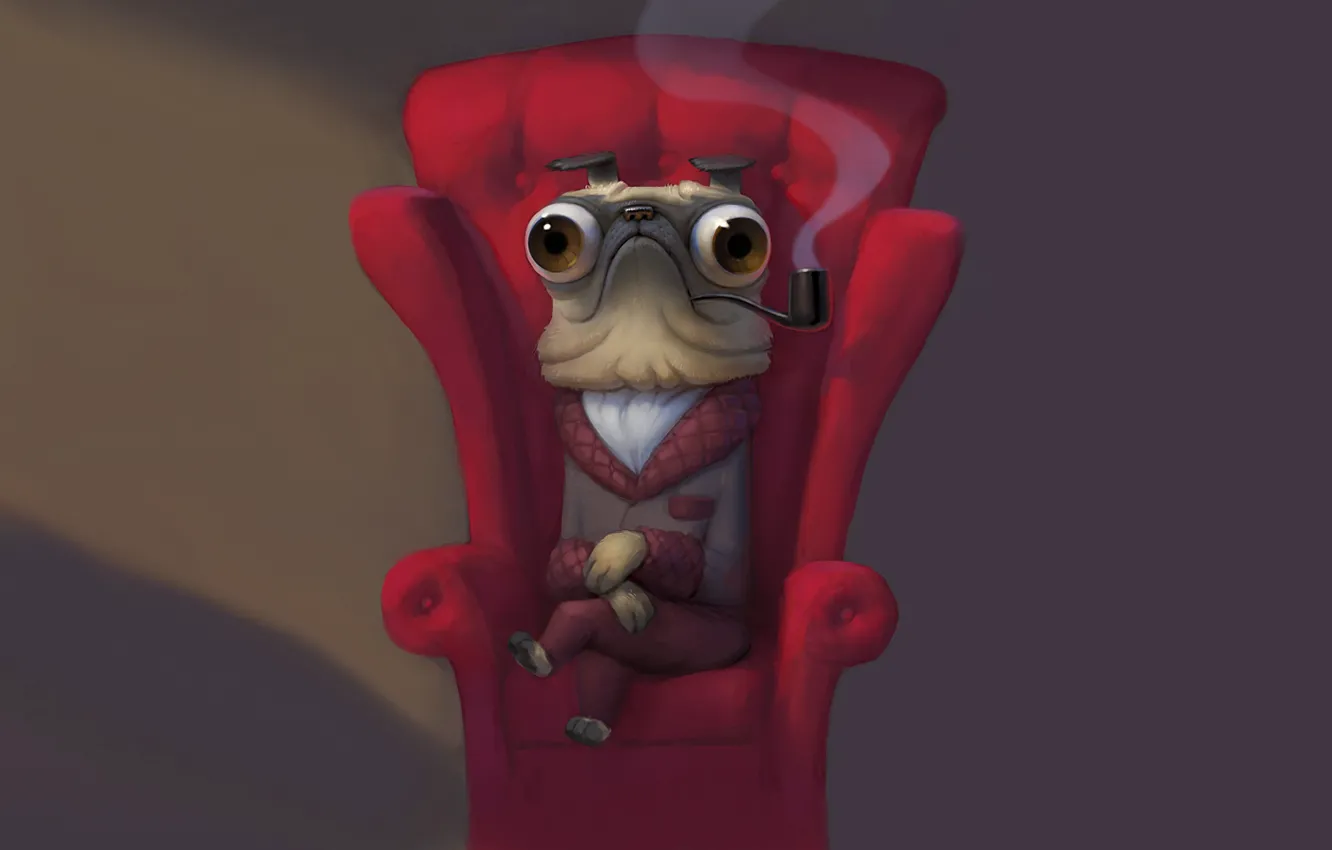 Photo wallpaper tube, dog, chair, smokes