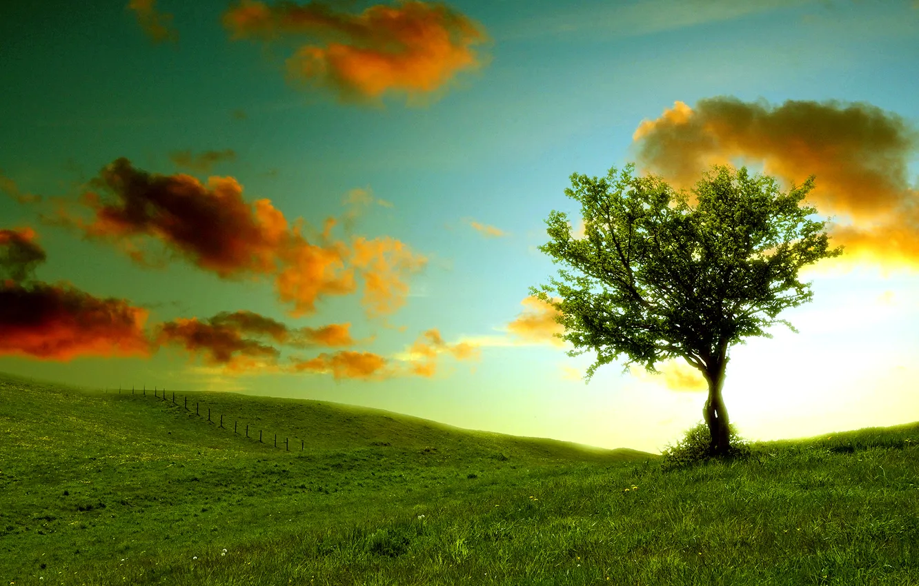 Photo wallpaper the sky, clouds, landscape, nature, hills, weed, greens. tree
