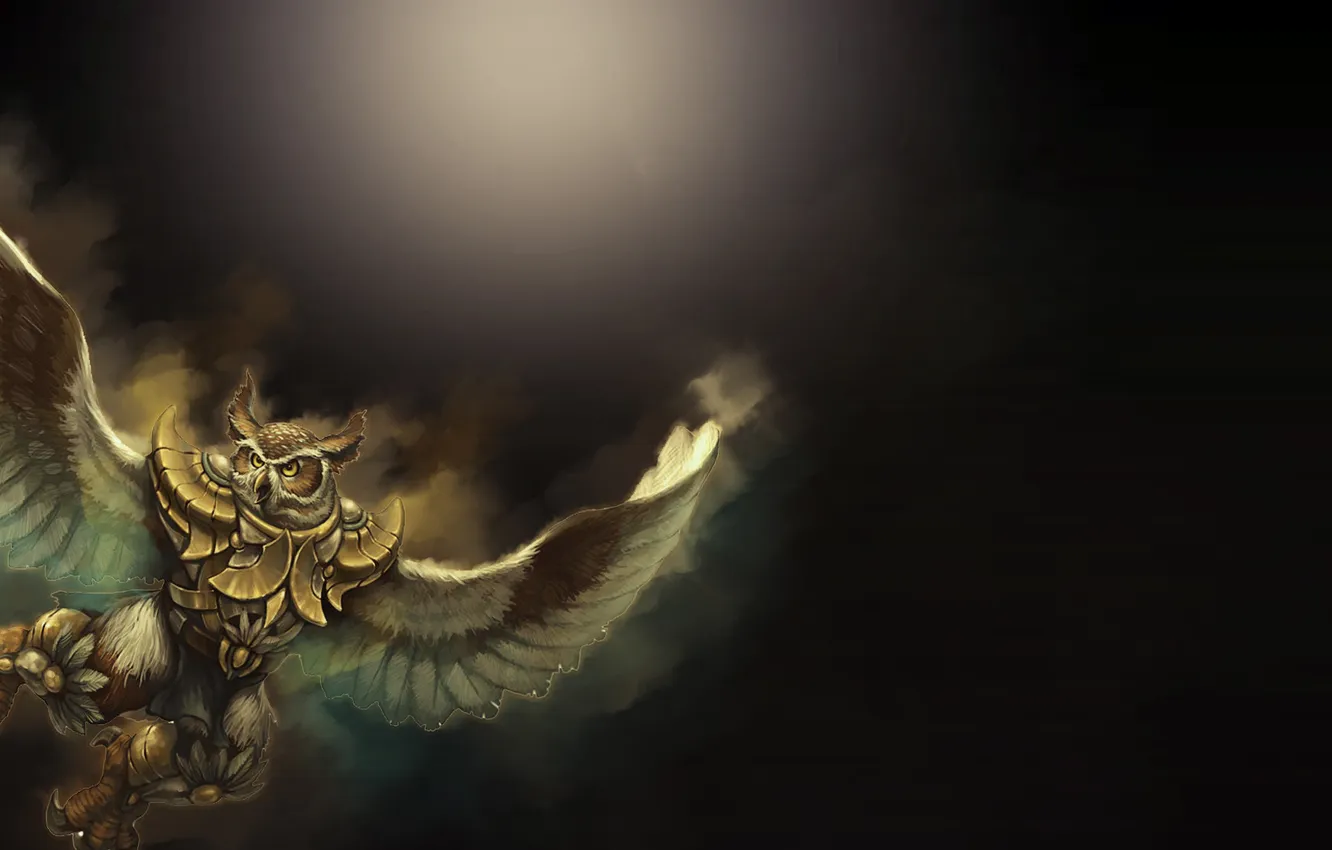 Photo wallpaper flight, owl, wings, warrior, claws