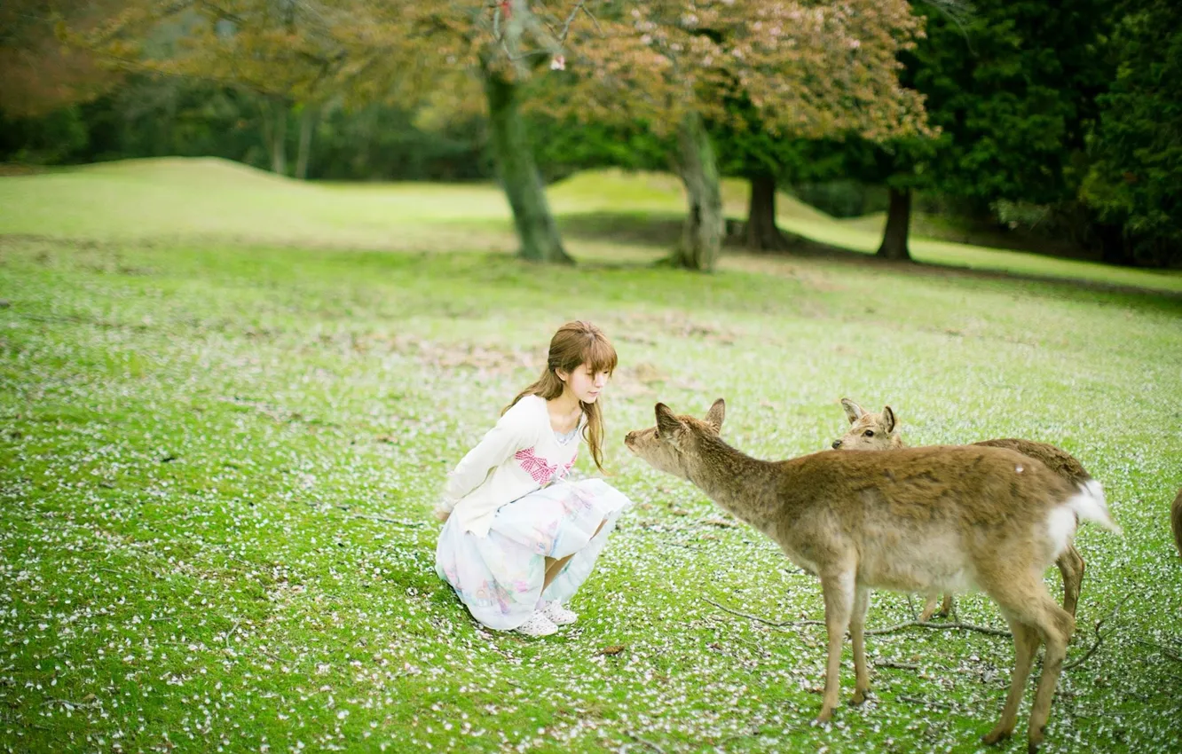 Photo wallpaper grass, woman, beautiful, model, pretty, asian, deer, outdoor