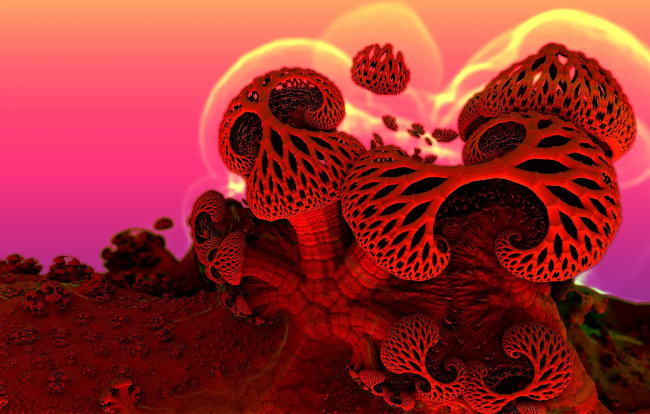 Photo wallpaper background, mushrooms, form