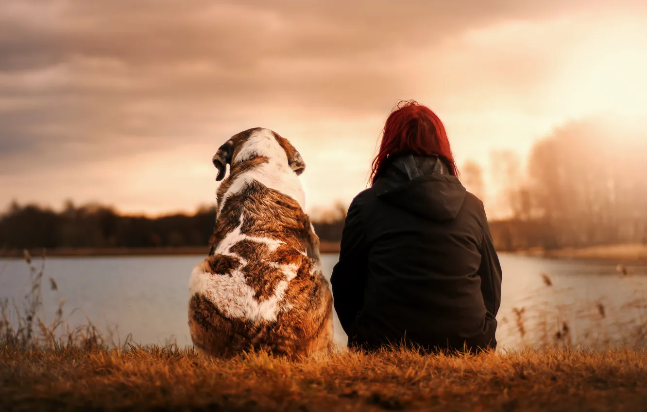 Photo wallpaper girl, sunset, dog, moody, best friend