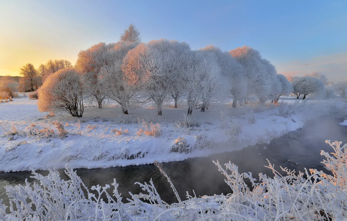Photo wallpaper winter, the sky, snow, trees, river, dawn, Ed Gordeev, Gordeev Edward