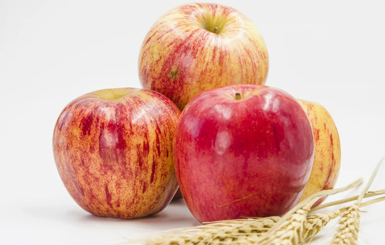 Photo wallpaper wheat, apples, Apples