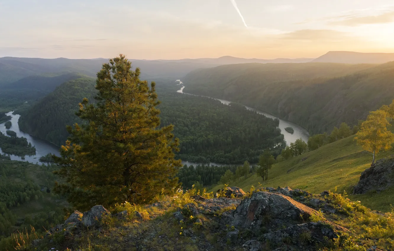 Photo wallpaper autumn, forest, trees, landscape, mountains, nature, river, stones