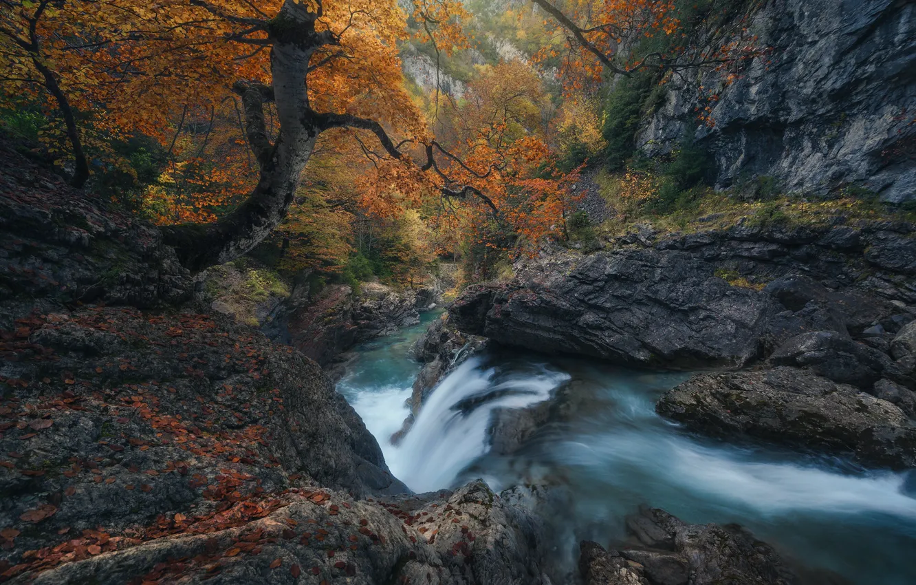Photo wallpaper autumn, trees, stream, rocks, waterfall, river, Spain, Spain