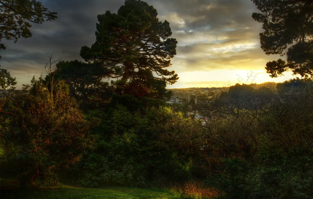 Photo wallpaper forest, sunset, nature, the city, photo, dawn, New Zealand