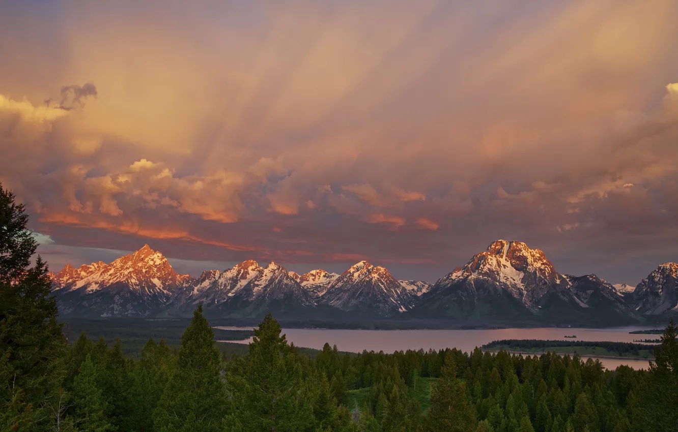Photo wallpaper forest, the sky, mountains, lake, morning, USA, Wyoming, national Park Grand Teton