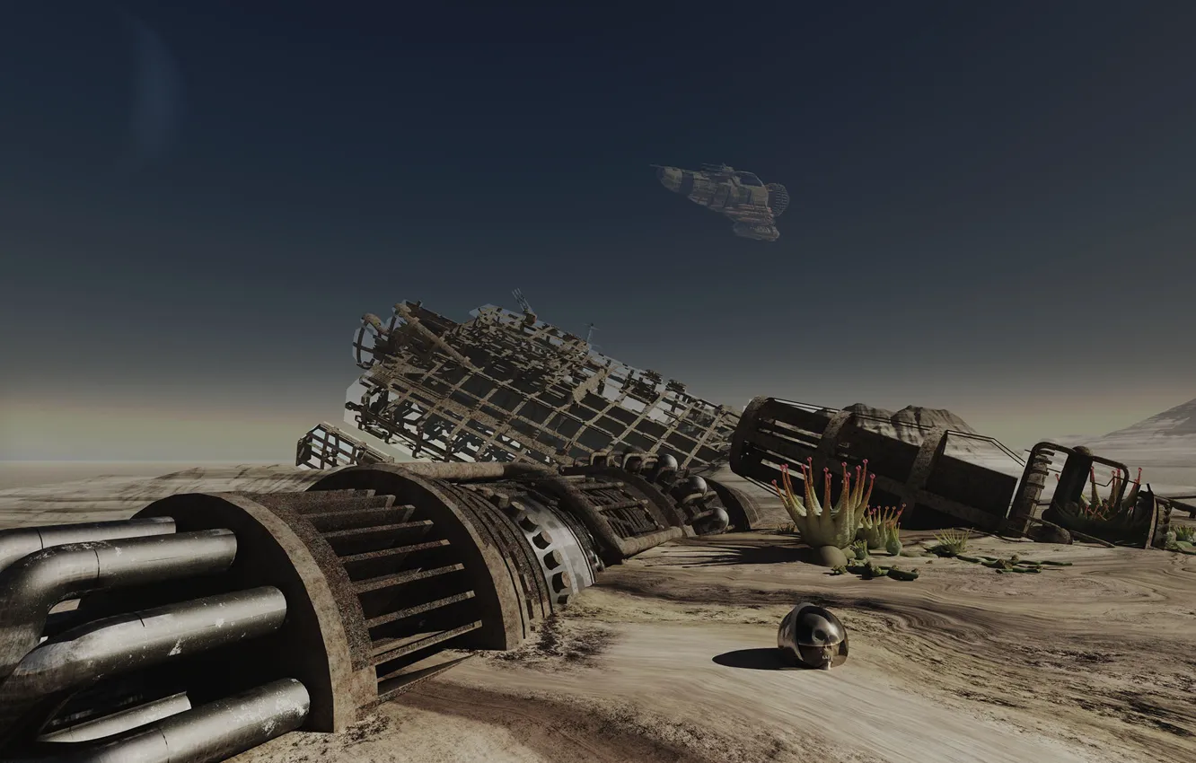 Photo wallpaper the wreckage, desert, helmet, camera, Too Late