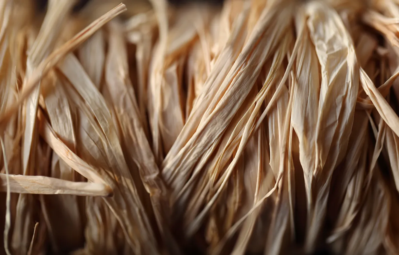 Photo wallpaper macro, fiber, bokeh