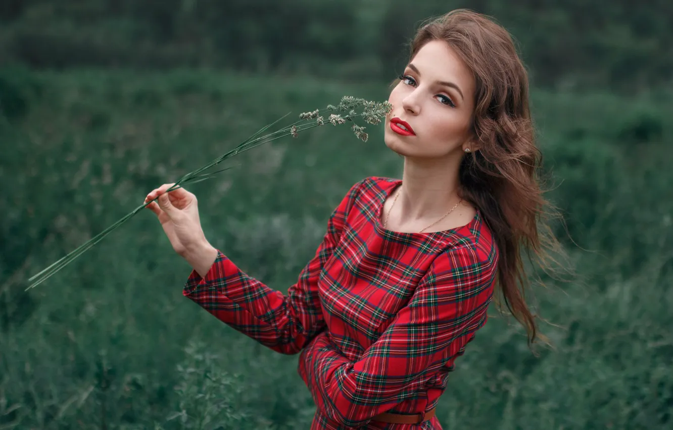 Photo wallpaper look, girl, dress, Tanya, Albert Forest
