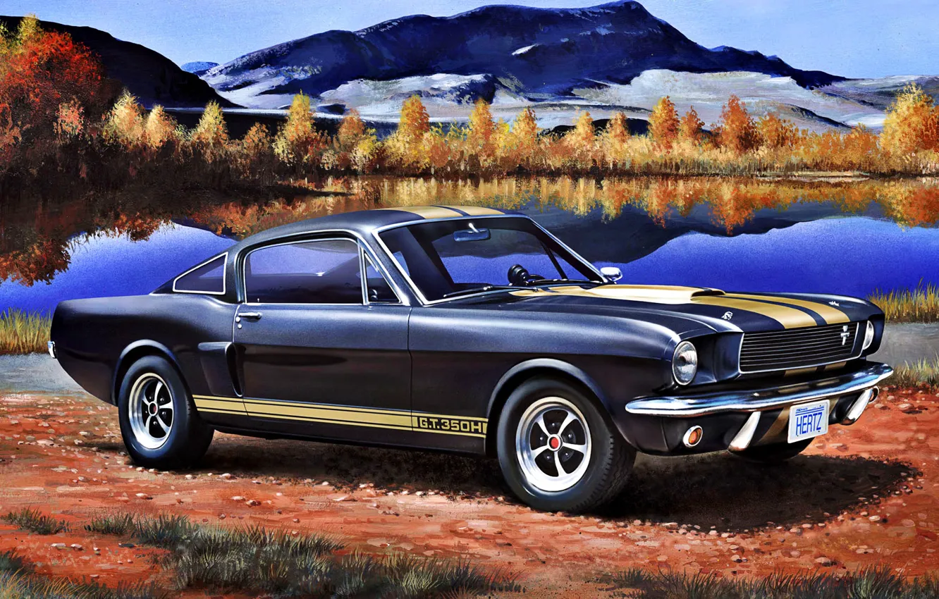 Photo wallpaper forest, mountains, Mustang, Ford, Shelby, class, USA, GT350H