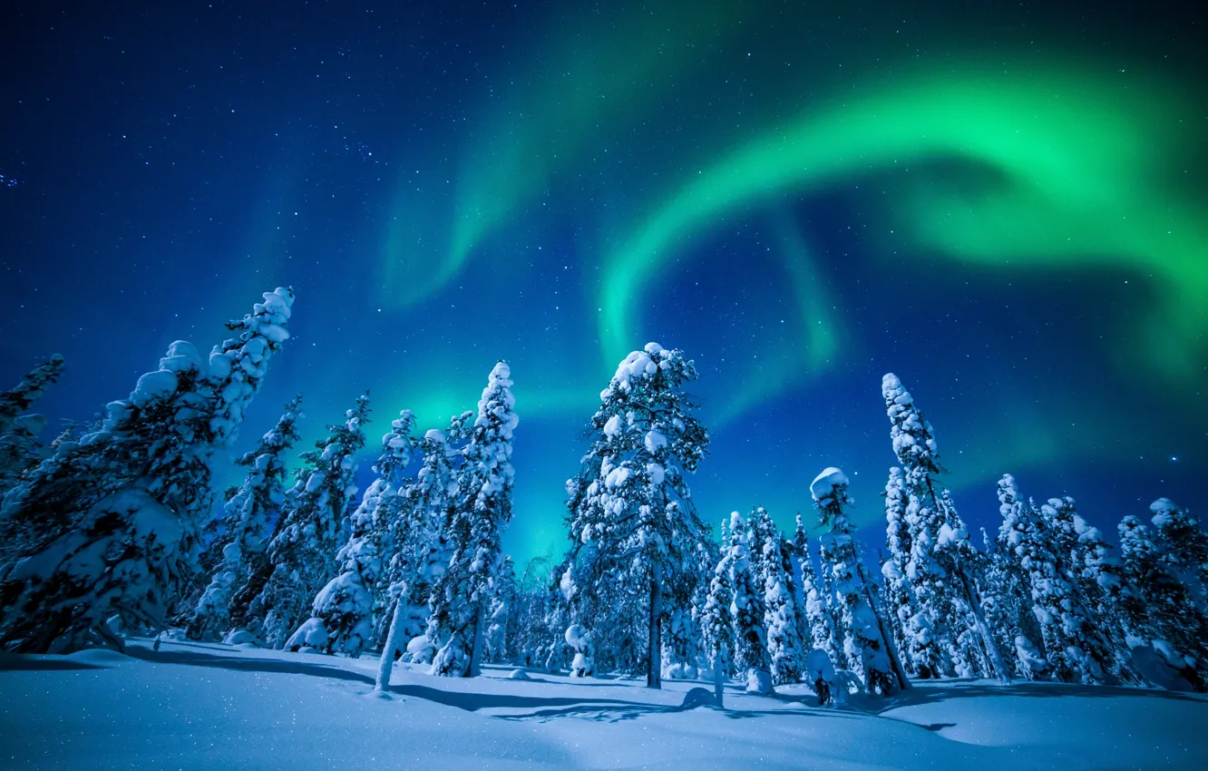 Photo wallpaper winter, the sky, snow, trees, Northern lights, Finland, Finland, Lapland