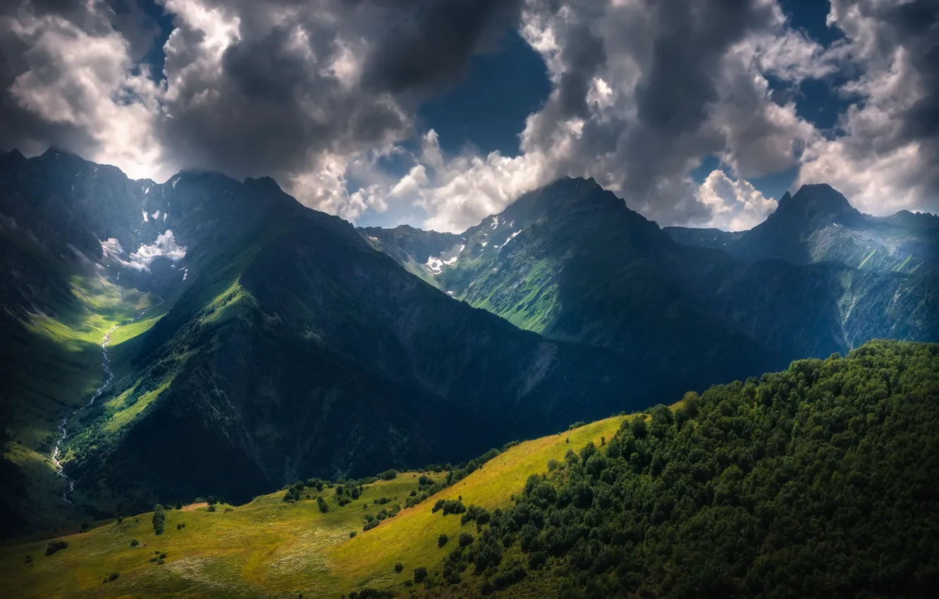 Photo wallpaper forest, the sky, clouds, mountains