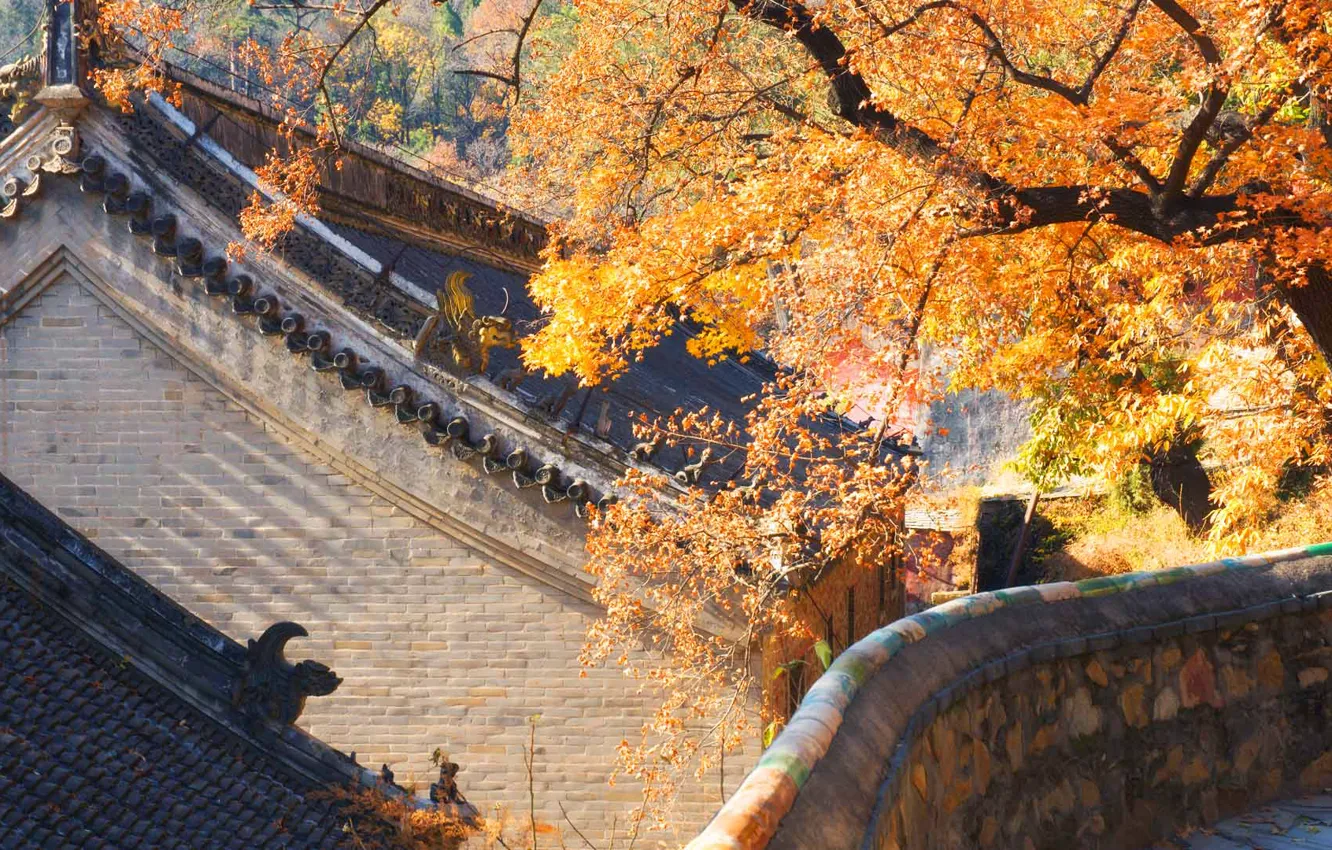 Photo wallpaper roof, autumn, house, China, Beijing