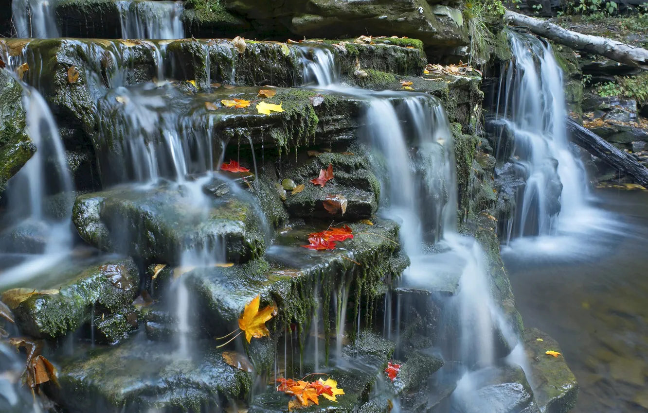Photo wallpaper autumn, leaves, river, stream, stones, stream, cascade