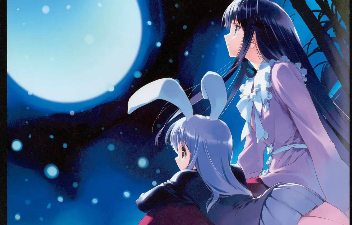 Photo wallpaper night, bamboo, bow, the full moon, ears, long hair, art, bokeh