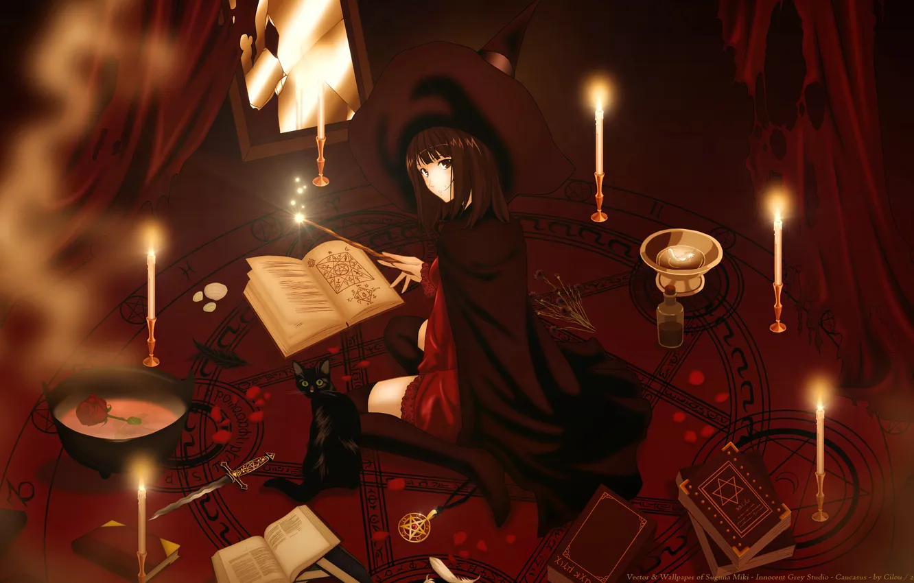 Photo wallpaper cat, water, girl, circles, flowers, roses, sticks, hat