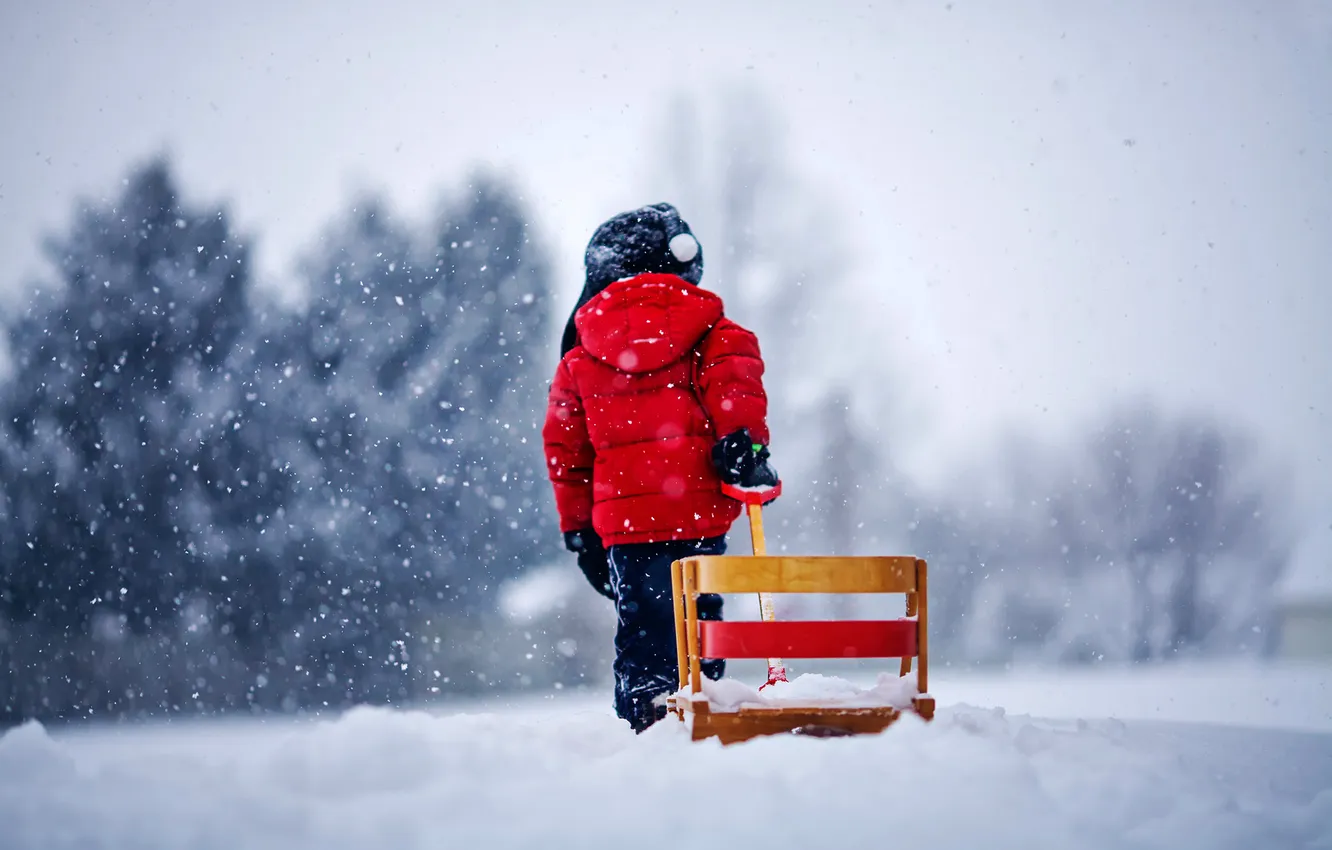 Photo wallpaper winter, snow, snowflakes, nature, child, sled, child