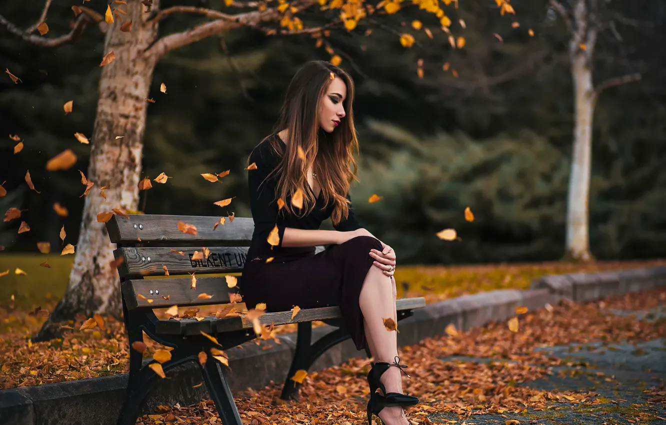 Photo wallpaper autumn, girl, Park, falling leaves, bench