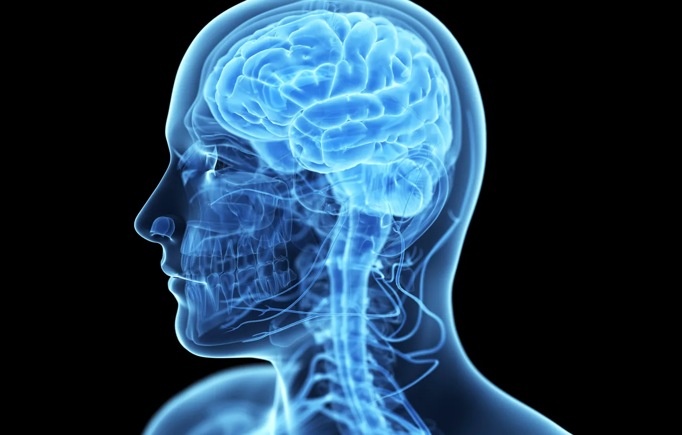 Photo wallpaper man, brain, drawing