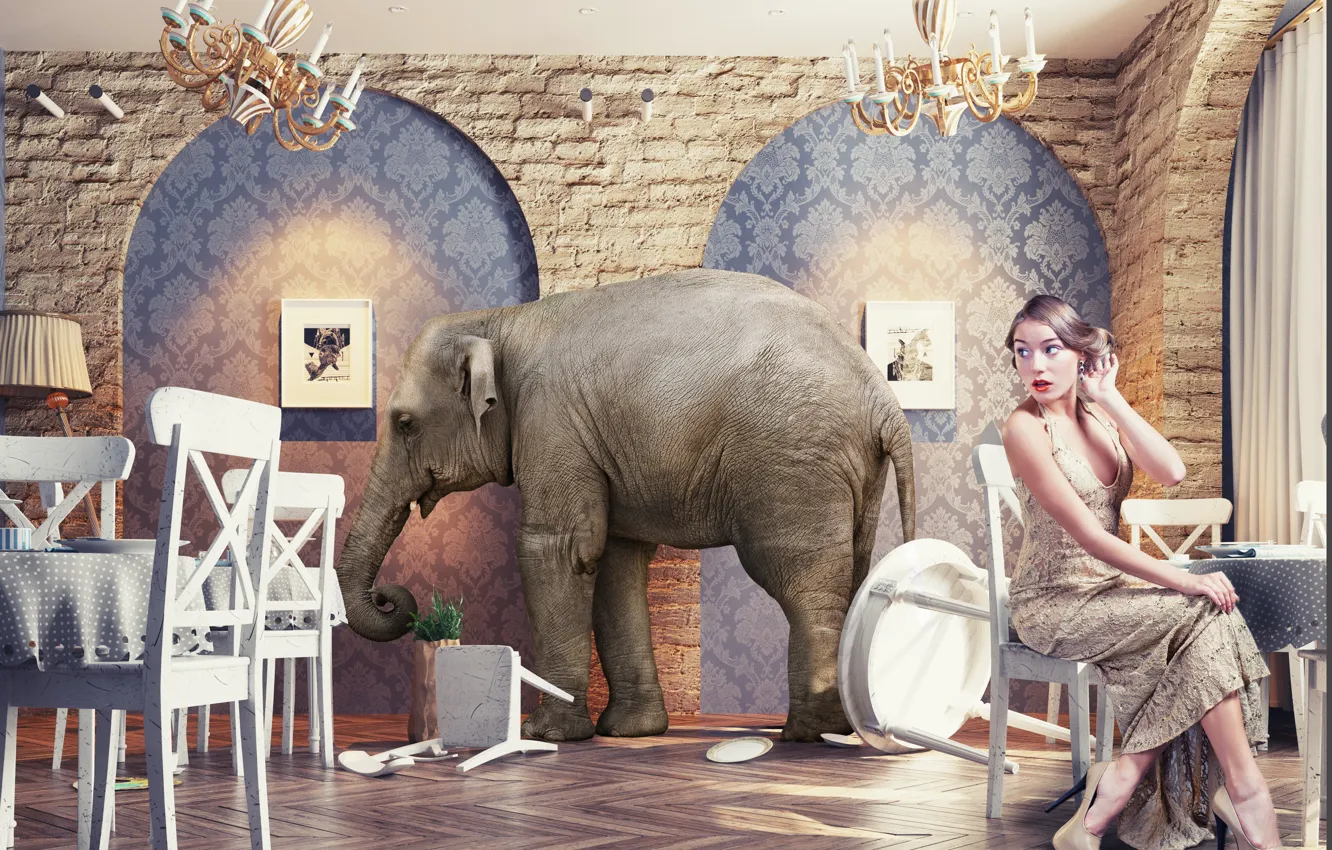 Photo wallpaper Girl, Restaurant, Elephant, Surprise, Chairs, Tables, Elephant in the restaurant, Exotic wildlife