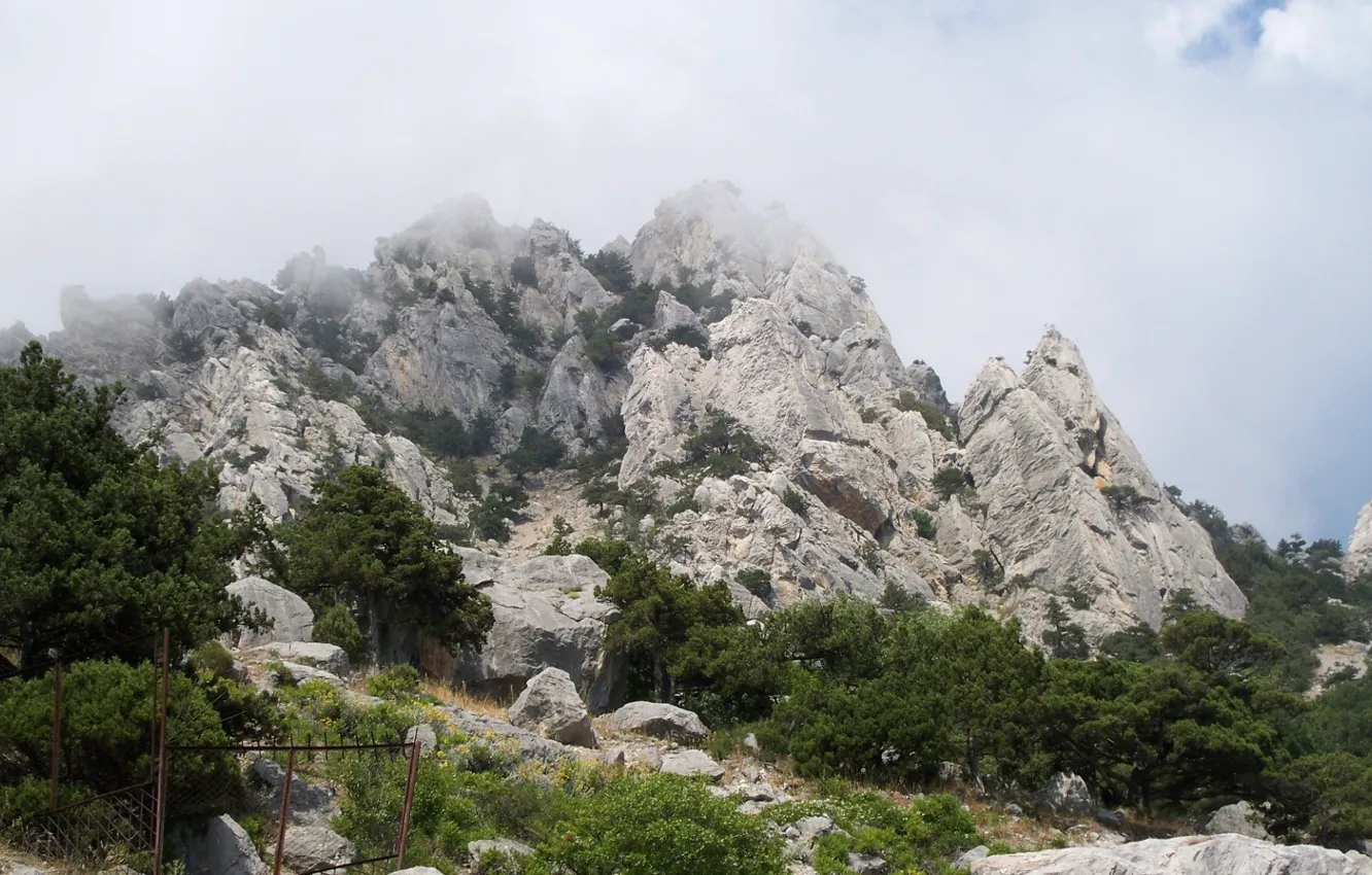 Photo wallpaper mountains, nature, fog