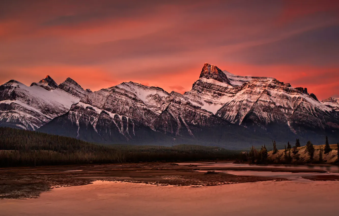 Photo wallpaper forest, the sky, clouds, sunset, mountains, red, shore, tops