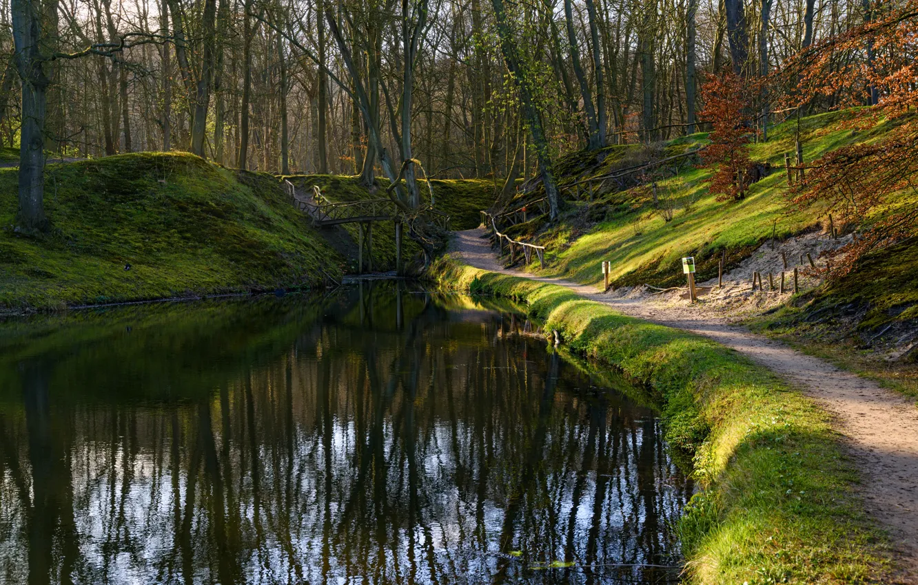 Photo wallpaper forest, the sun, trees, pond, Park, Netherlands, the bridge, path