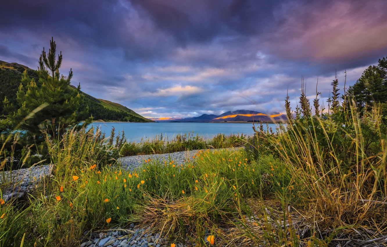 Photo wallpaper grass, mountains, clouds, lake, shore, New Zealand, pebbles, Lake Tekapo