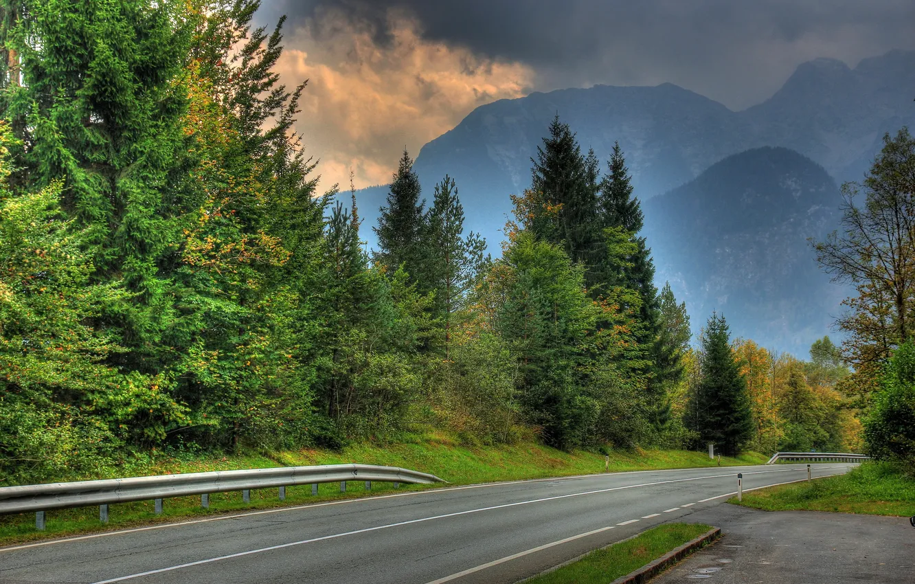 Photo wallpaper road, nature, photo, spruce, Austria, Salzburg