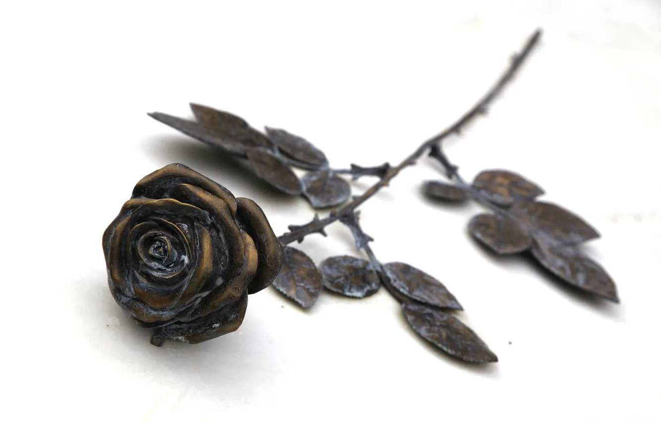 Photo wallpaper flowers, background, roses