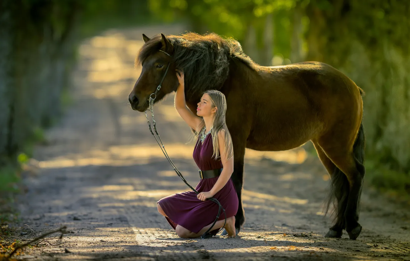 Photo wallpaper road, girl, mood, horse