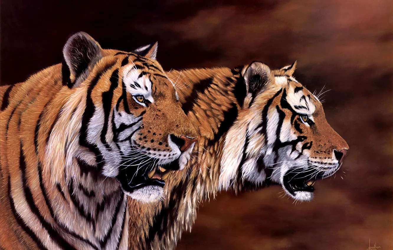 Photo wallpaper tiger, art, Jonathan Truss