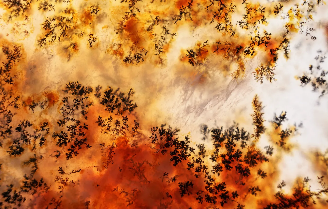 Photo wallpaper stones, pattern, moss