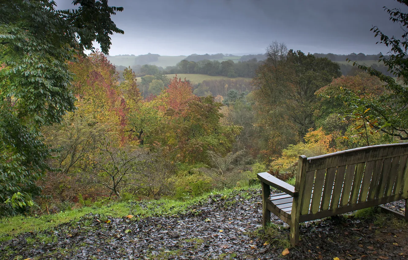 Photo wallpaper autumn, nature, bench