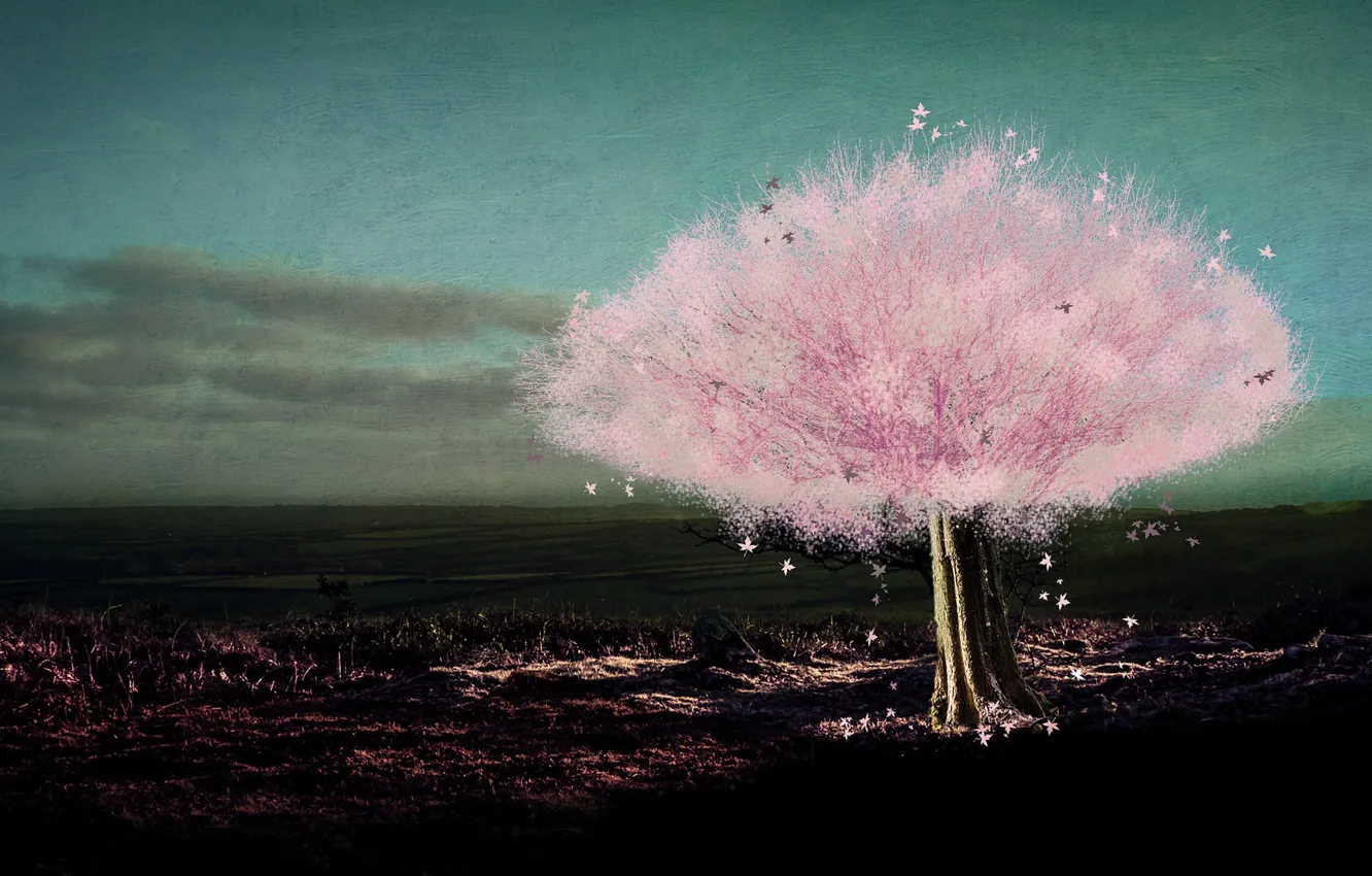 Photo wallpaper trees, landscape, nature