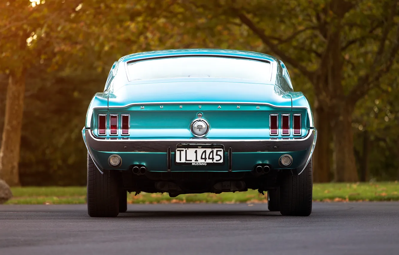 Photo wallpaper Mustang, Ford, room, the trunk, 1967, Fastback, ass